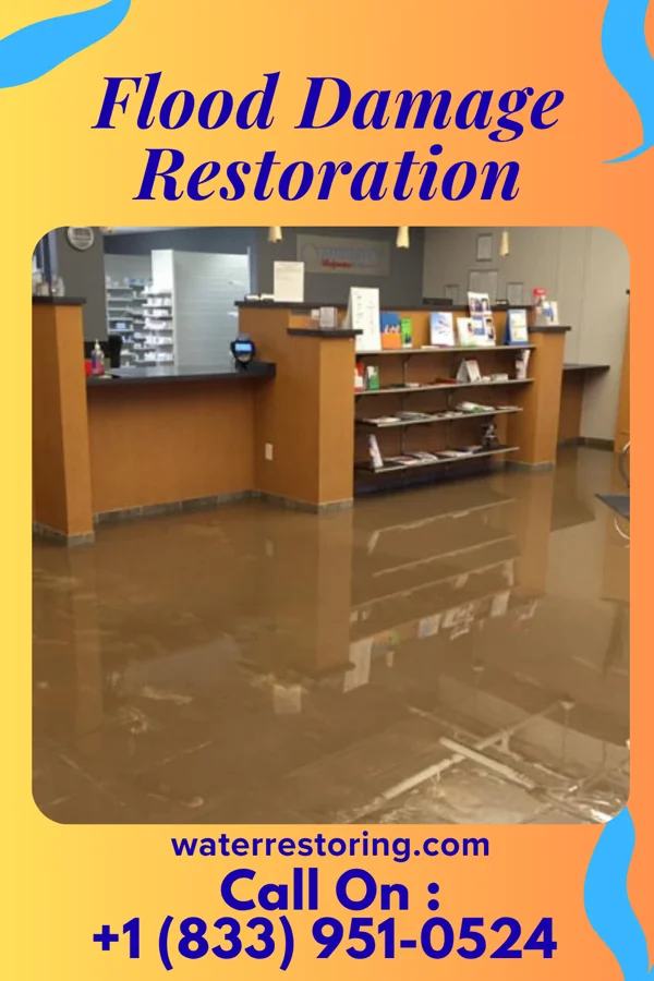 Flood Damage Restoration in Marlton, MD