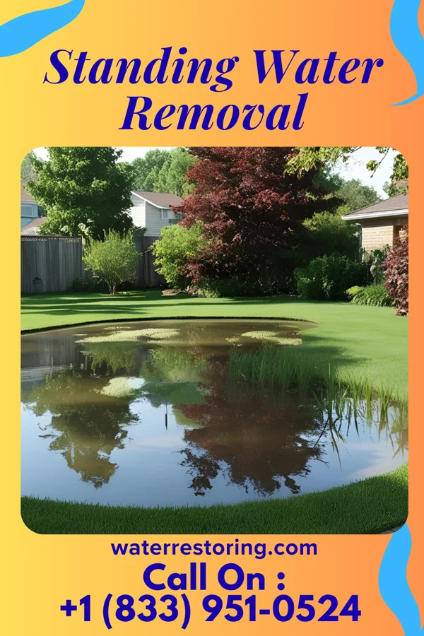 Standing Water Removal in Marlton, MD